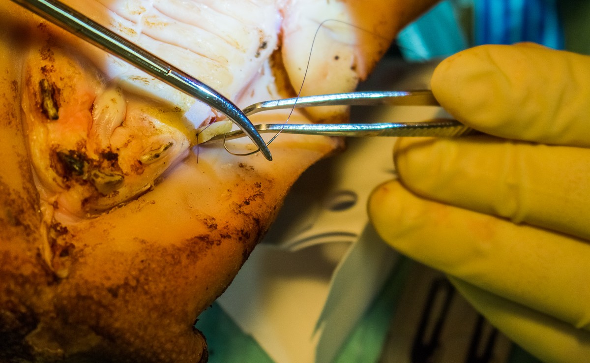 Эксклюзивный мастер-класс Ховарда Глюкмана 18 октября