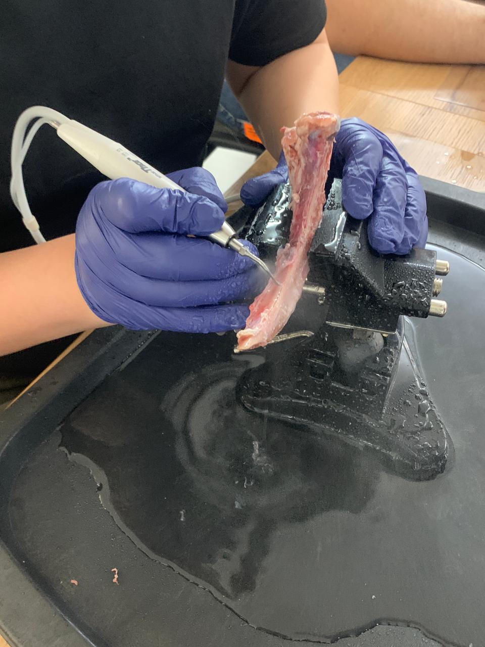 Экспертный курс по имплантации, Астана