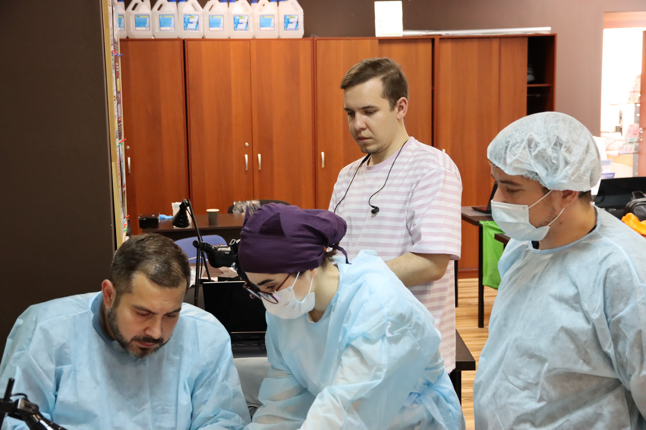 Кадавер-курс Виталия Георгиевича Панцулая