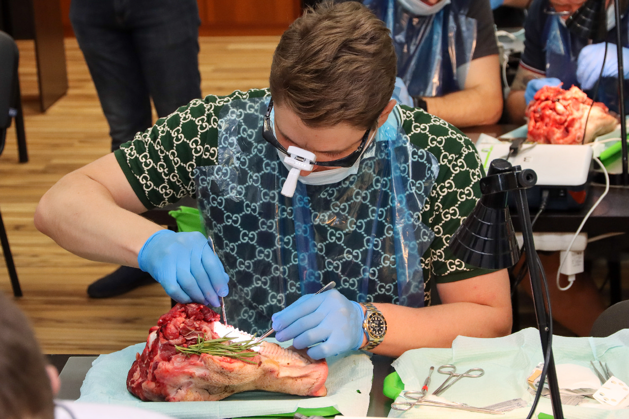 Пластика мягких тканей вокруг имплантатов. Морфологический подход