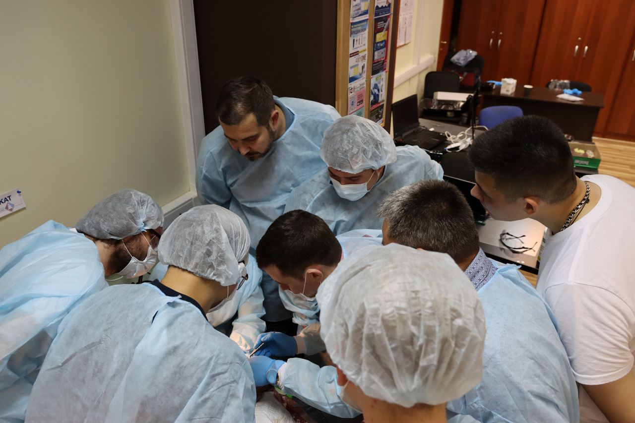 Кадавер-курс Виталия Георгиевича Панцулая