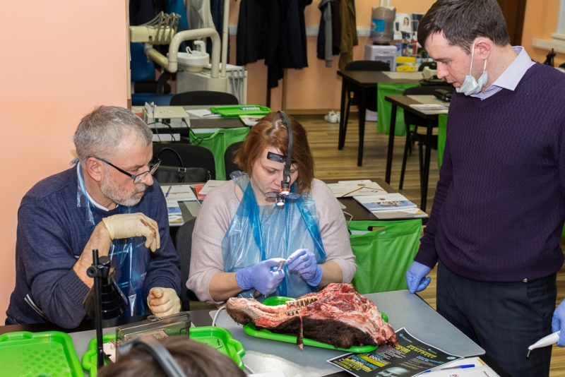 Одномоментная имплантация и немедленная нагрузка