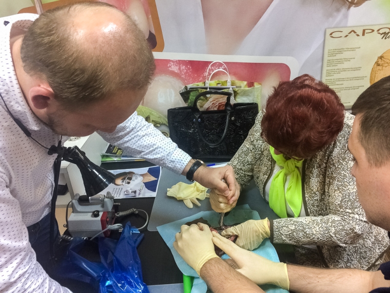 Атравматичное удаление зубов и методики наложения швов