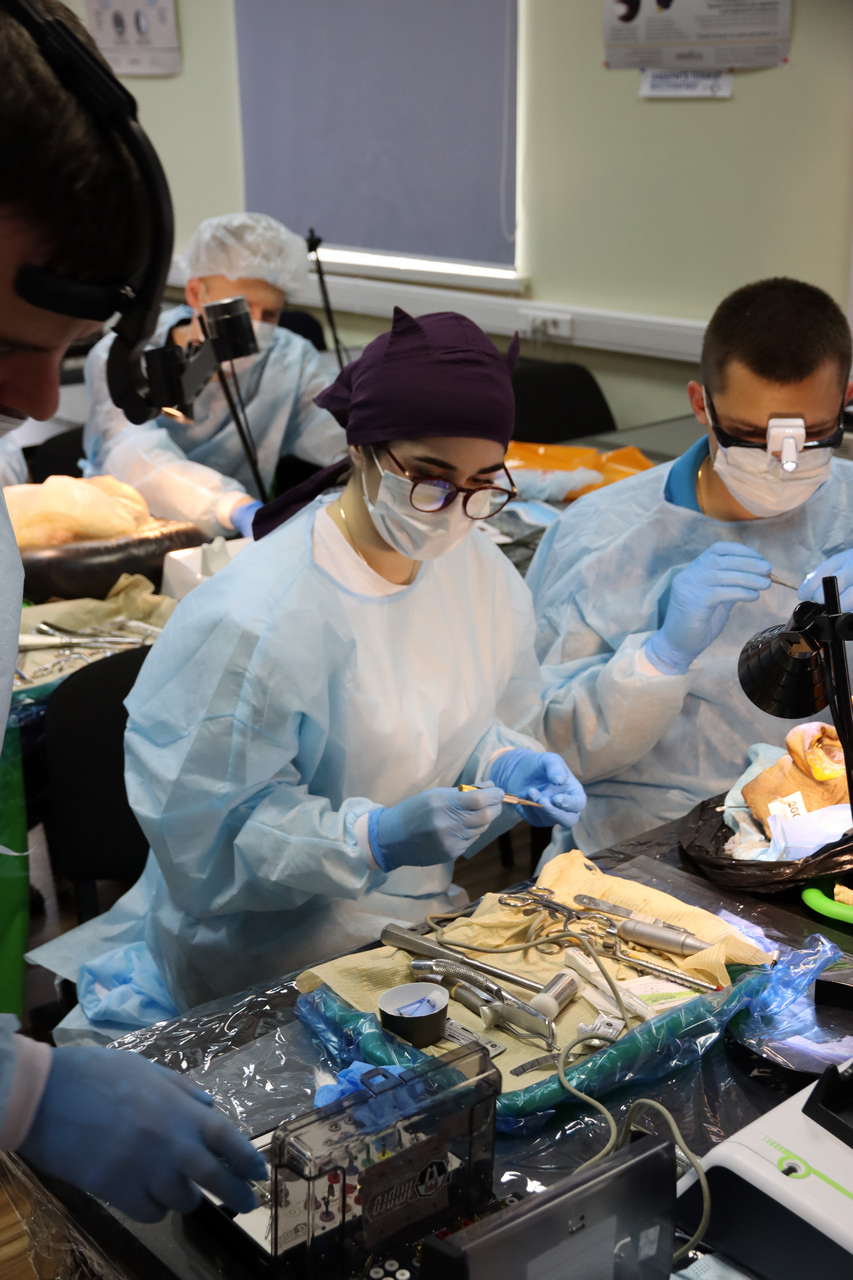 Кадавер-курс Виталия Георгиевича Панцулая