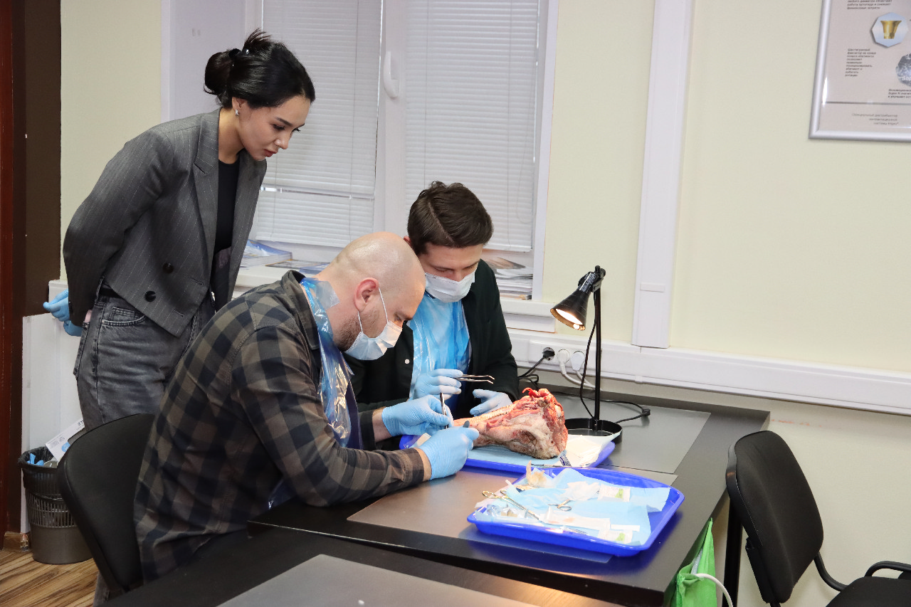 Пластика мягких тканей вокруг имплантатов. Морфологический подход