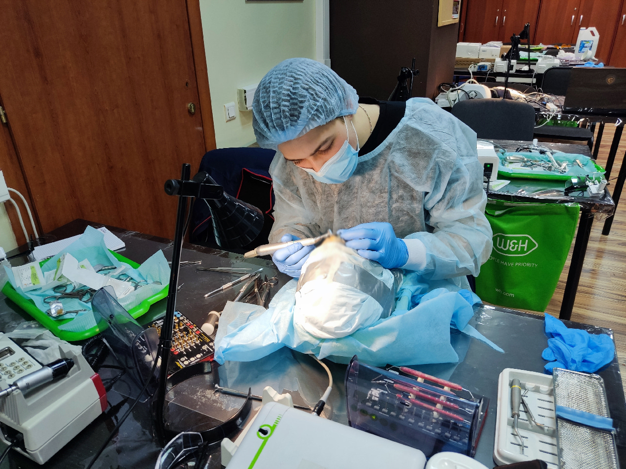 Кадавер-курс