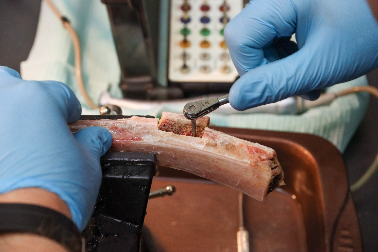 Продвинутый курс по имплантации. Костная пластика и синус-лифтинг