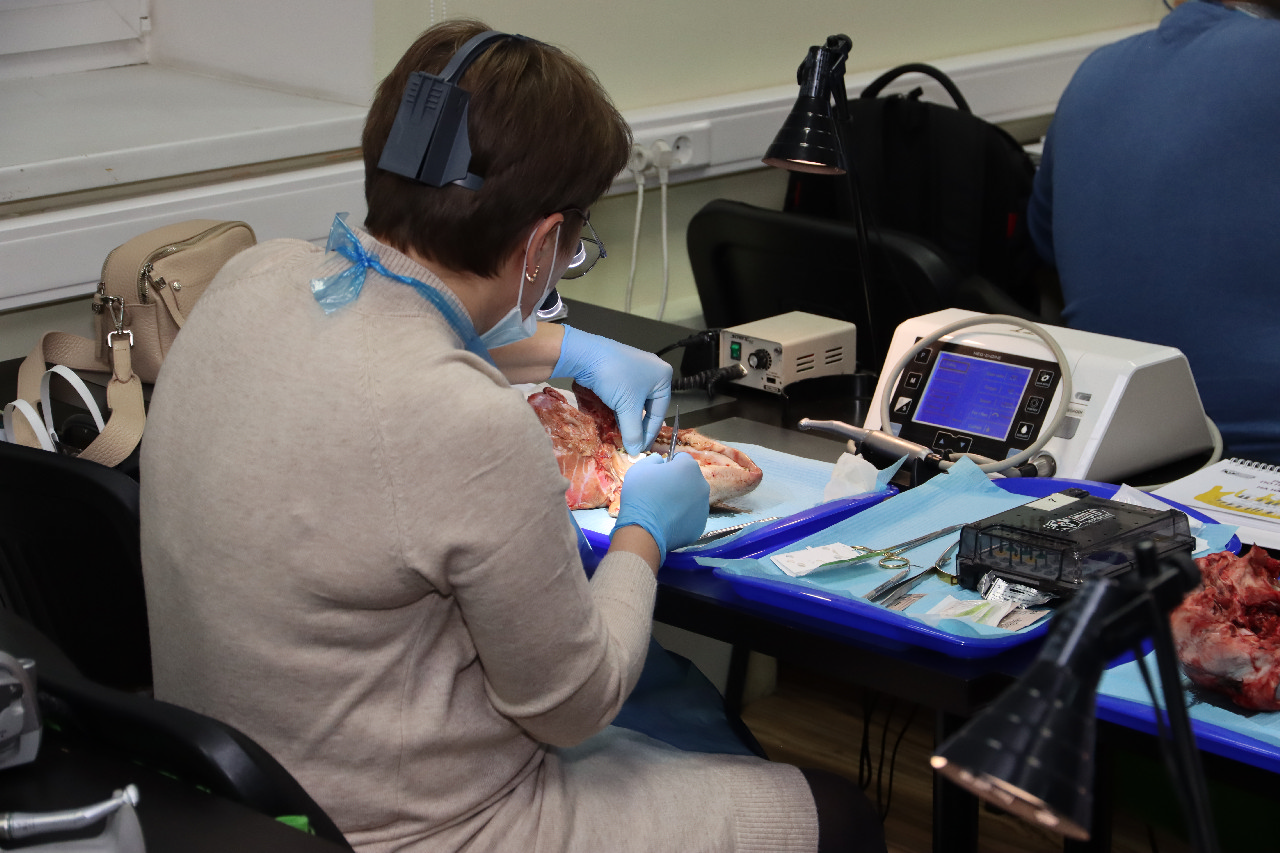 Продвинутый курс по пластике мягких тканей