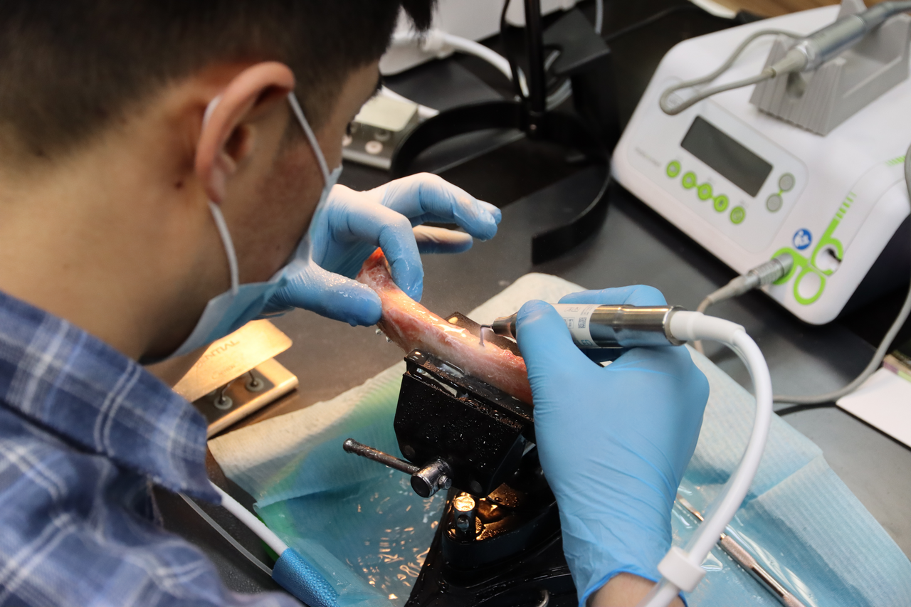 Продвинутый курс по имплантации 10-11 февраля