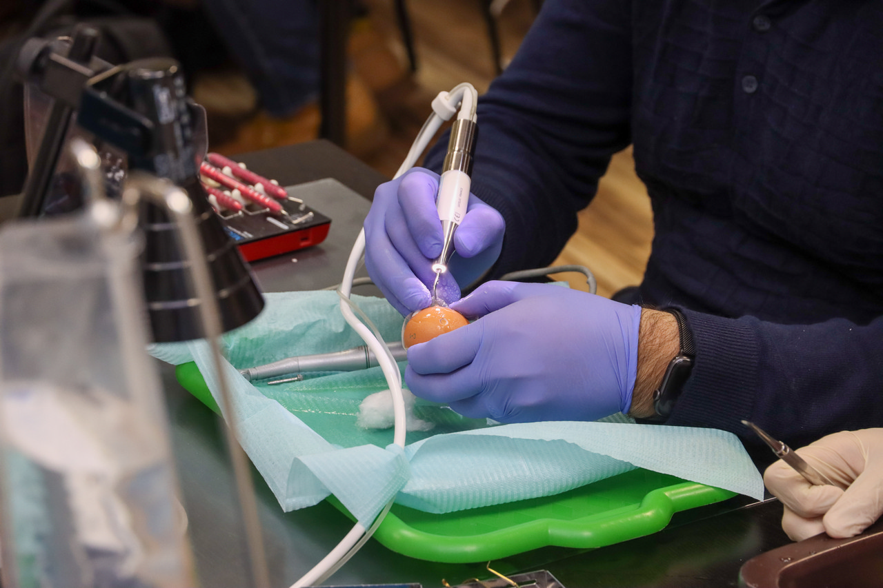 Продвинутый курс по имплантации. Костная пластика и синус-лифтинг