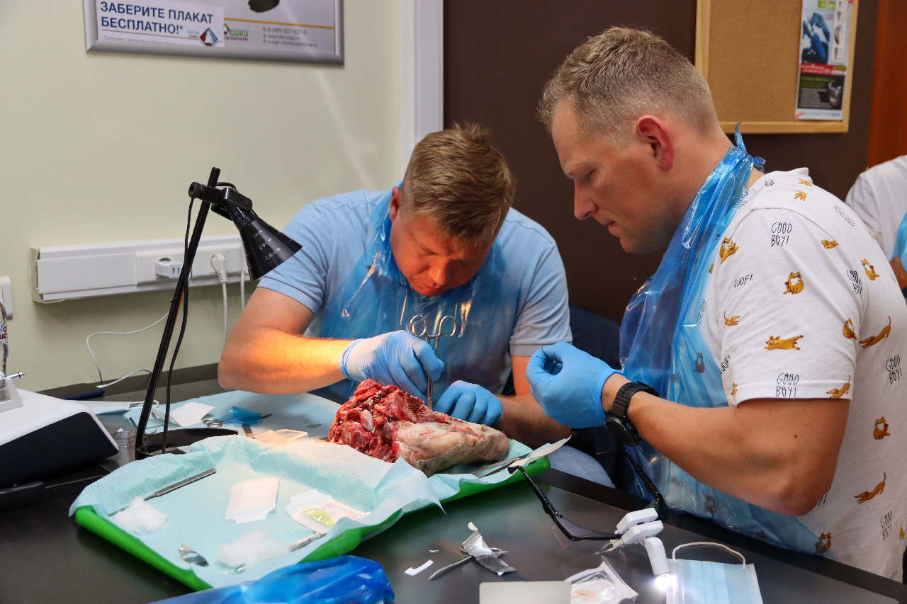 Пластика мягких тканей вокруг имплантатов. Морфологический подход