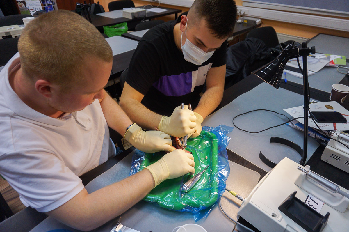 Атравматичное удаление зубов и методики наложения швов. 17 августа 2019г.