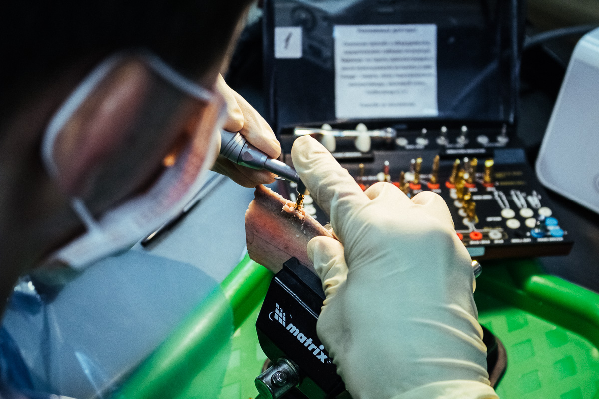 Виталий Георгиевич Панцулая: Продвинутый курс по имплантации. Костная пластика. 5-6 сентября