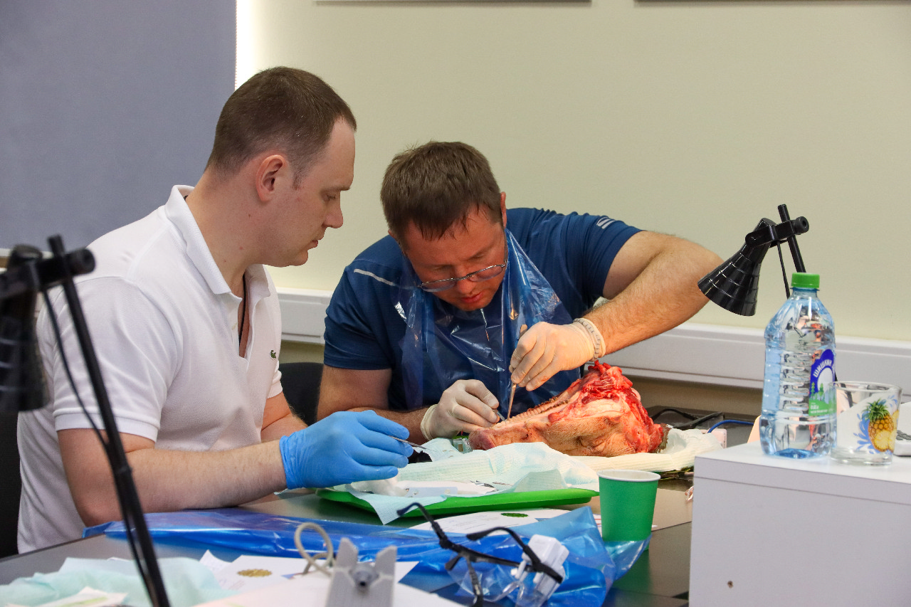 Пластика мягких тканей вокруг имплантатов. Морфологический подход