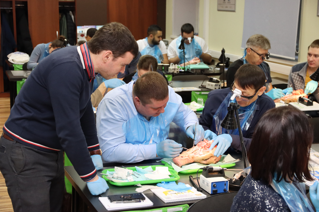 Пластика мягких тканей вокруг имплантатов. Морфологический подход