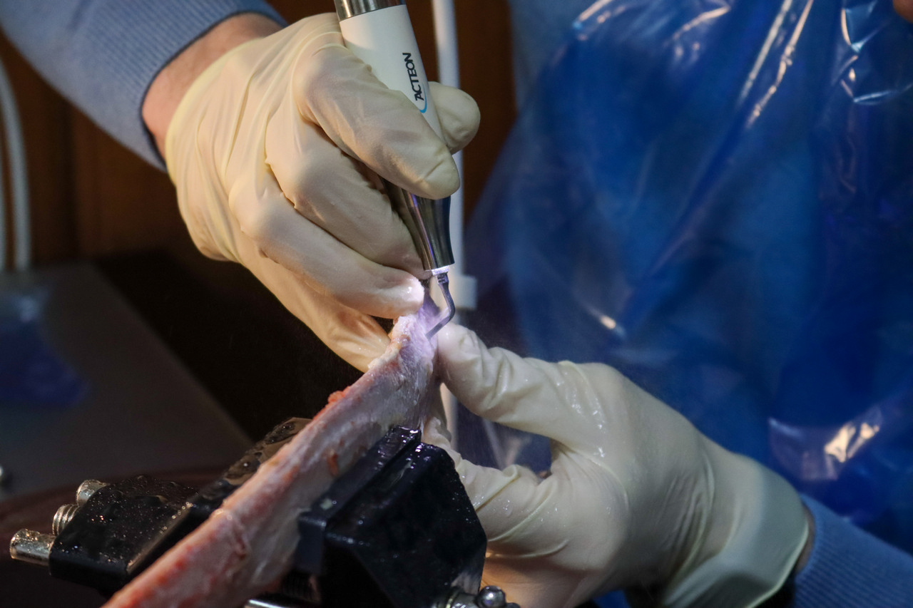 Продвинутый курс по имплантации. Костная пластика и синус-лифтинг