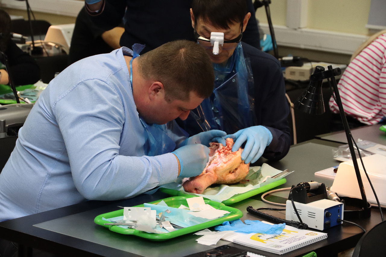 Пластика мягких тканей вокруг имплантатов. Морфологический подход