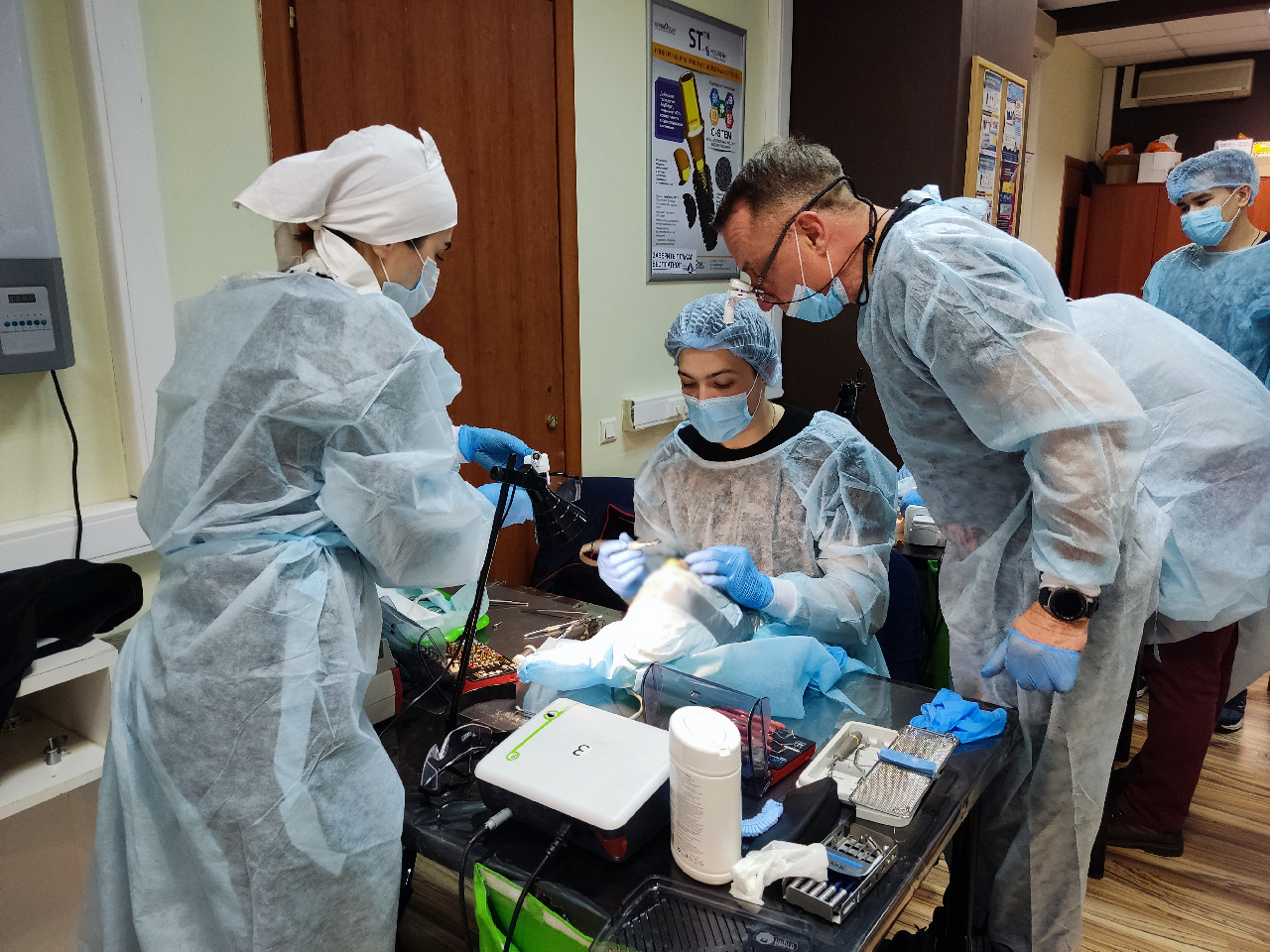 Кадавер-курс