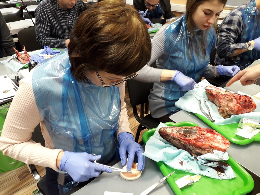 Атравматичное удаление зубов и методики наложения швов