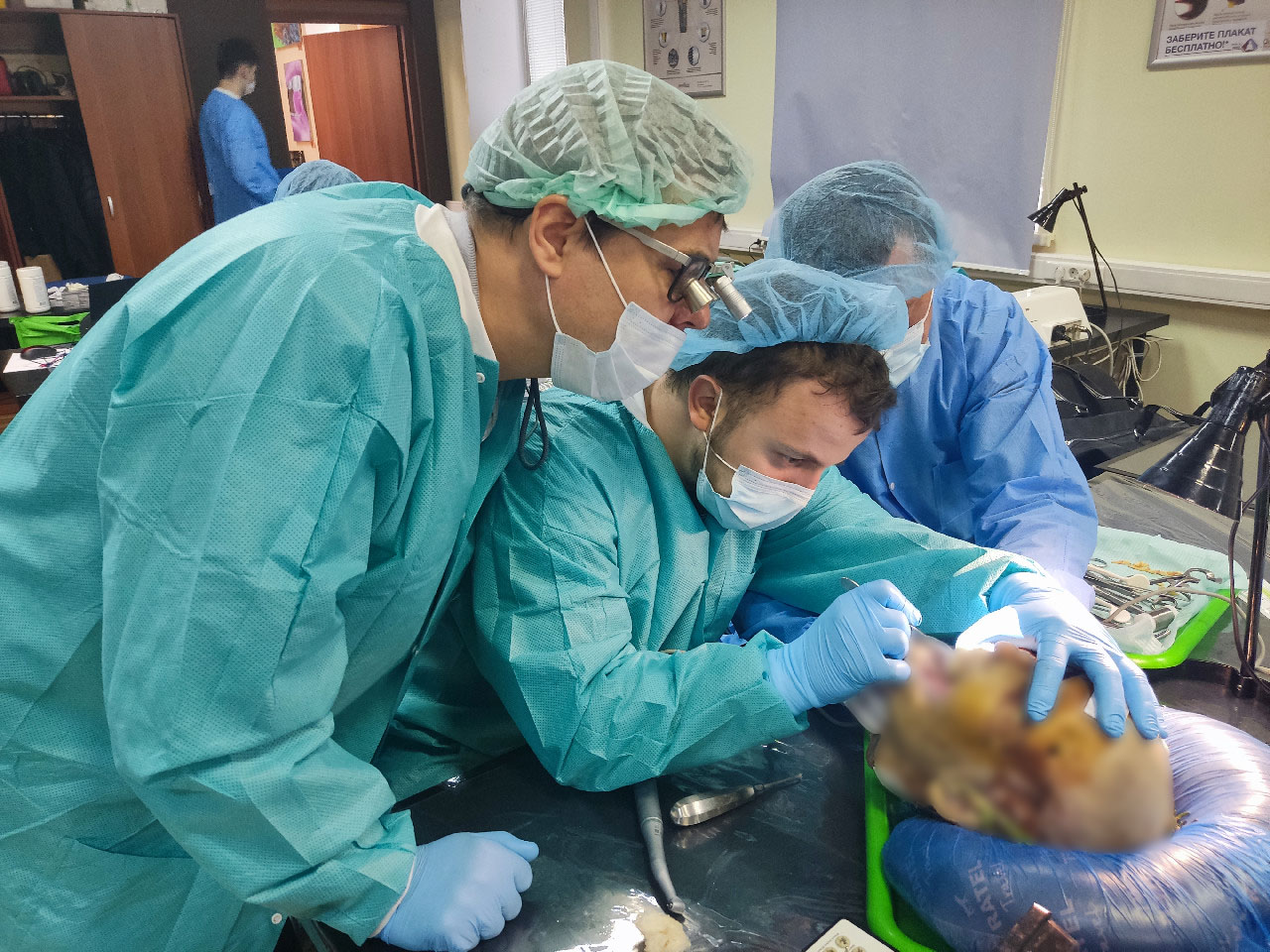 Кадавер-курс Виталия Георгиевича Панцулая