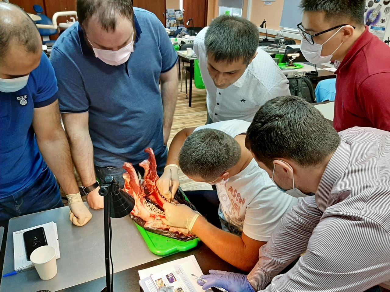 Продвинутый курс по имплантации. Костная пластика. 17-18 июля.