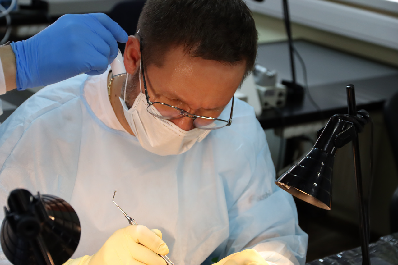 Кадавер-курс Виталия Георгиевича Панцулая