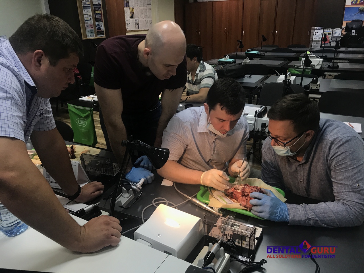 Курс Виталия Панцулая: одномоментная имплантация и немедленная нагрузка