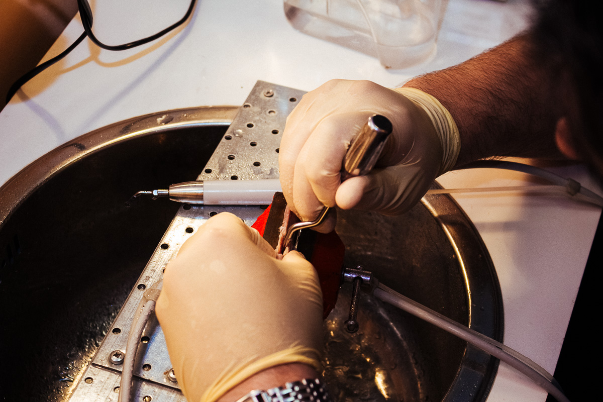 Виталий Георгиевич Панцулая: Продвинутый курс по имплантации. Костная пластика. 5-6 сентября