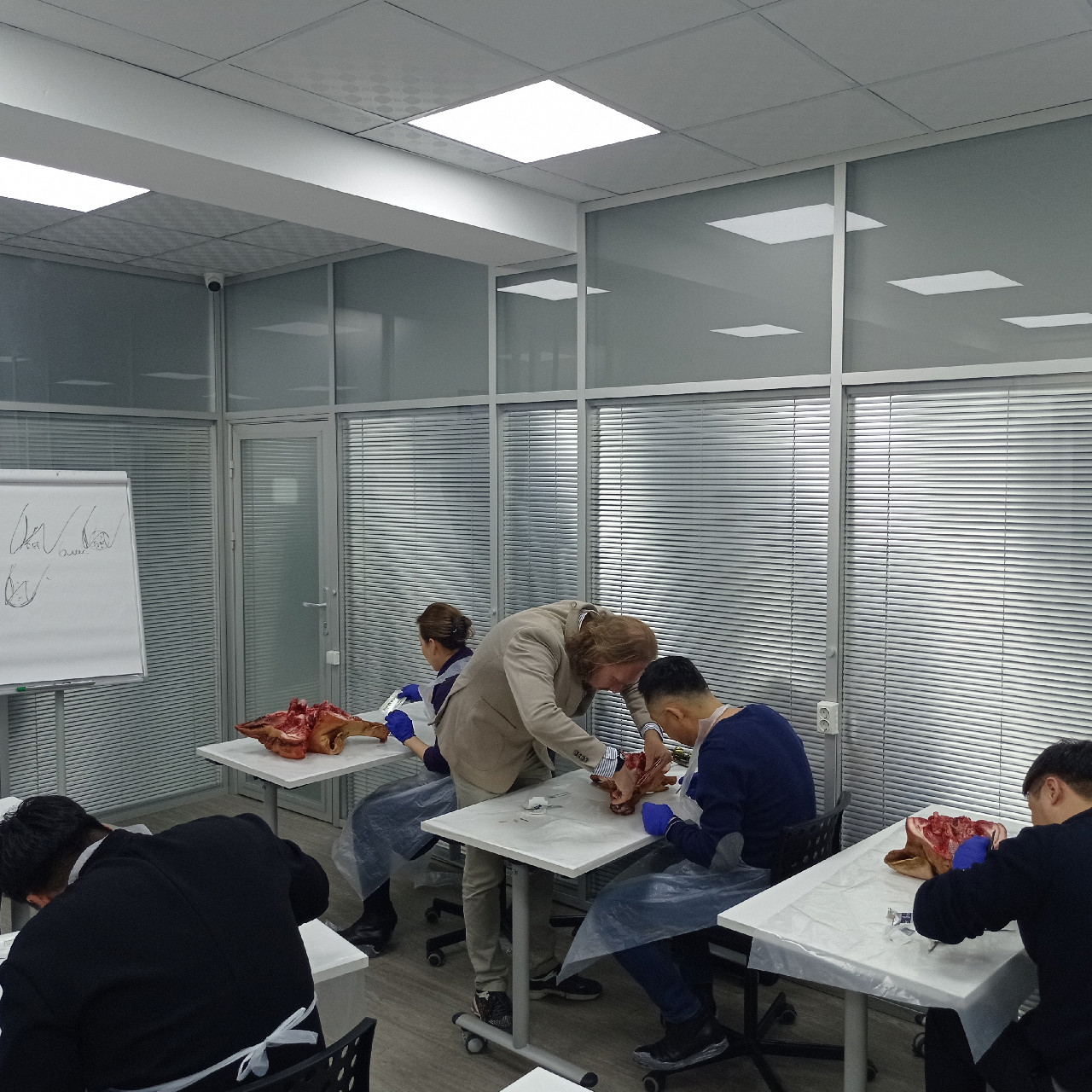 Пластика мягких тканей вокруг имплантатов. PRF в стоматологии. Курс в Казахстане