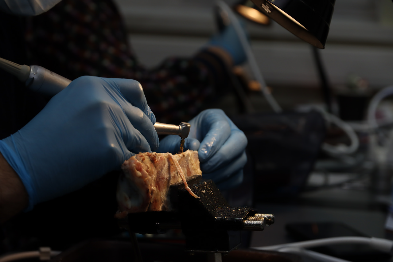 Продвинутый курс по имплантации, 28-29 октября 