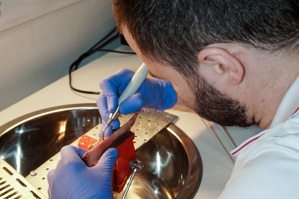 Продвинутый курс по имплантации. Костная пластика