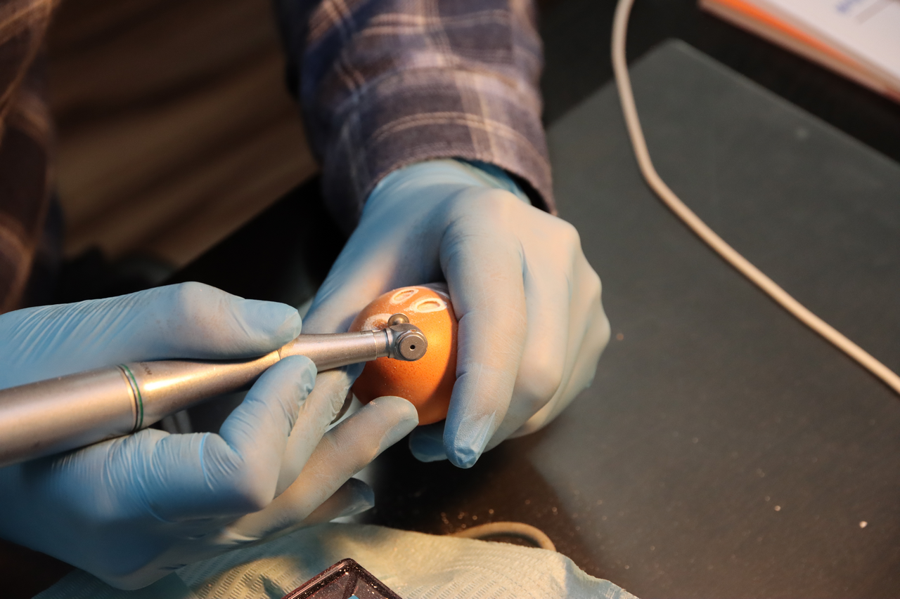 Продвинутый курс по имплантации 10-11 февраля