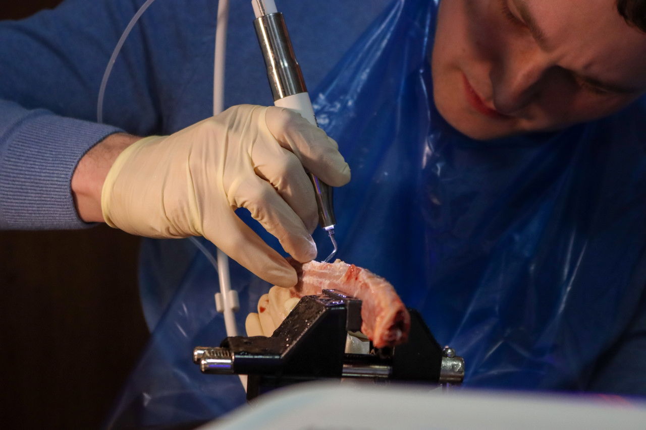 Продвинутый курс по имплантации. Костная пластика и синус-лифтинг