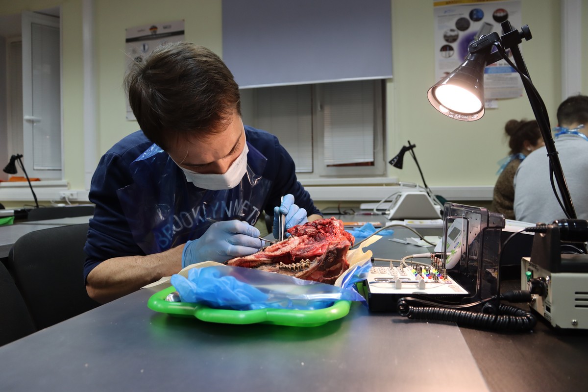 Одномоментная имплантация и немедленная нагрузка