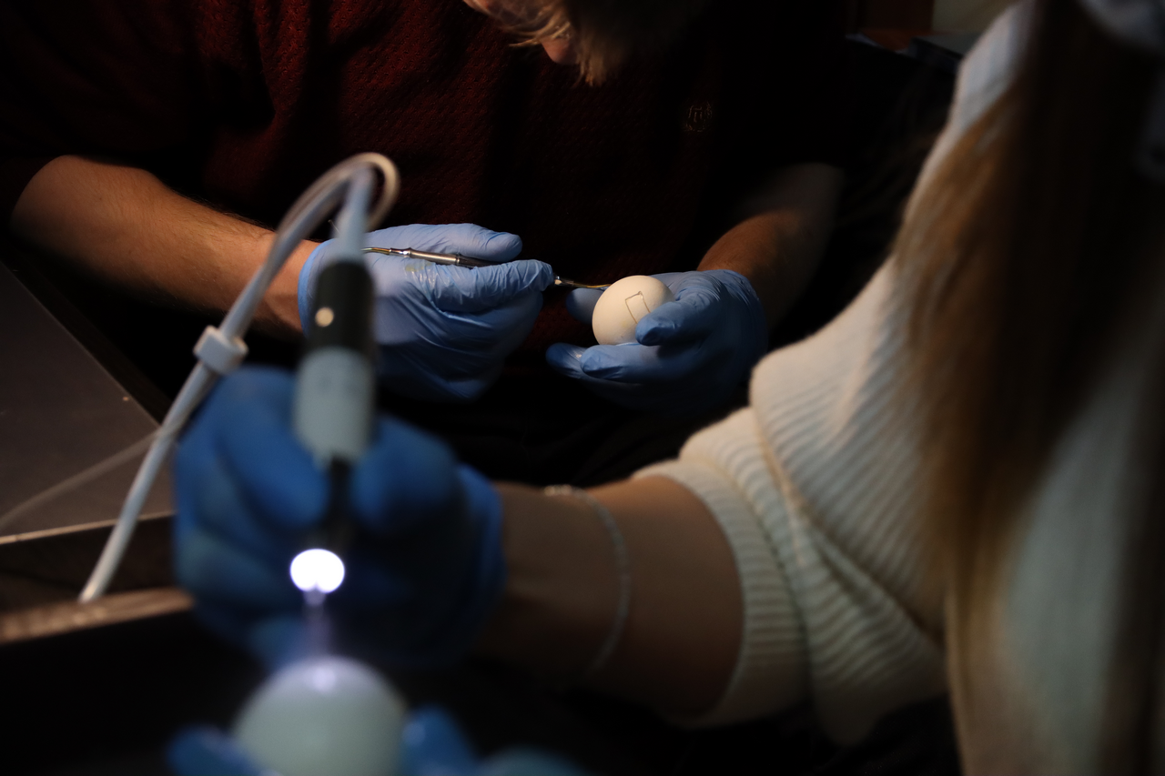 Продвинутый курс по имплантации. Костная пластика