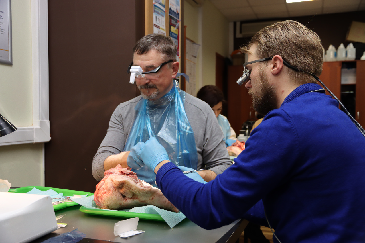 Пластика мягких тканей вокруг имплантатов. Морфологический подход