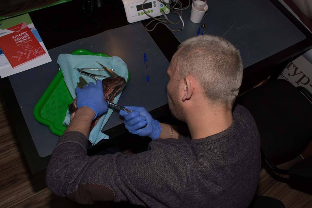 Как спасти имплантат? Стратегия и тактика в лечении периимплантита. Этиопатогенетическая и прогностическая концепции