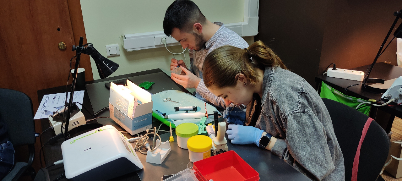 Базовый курс по имплантации