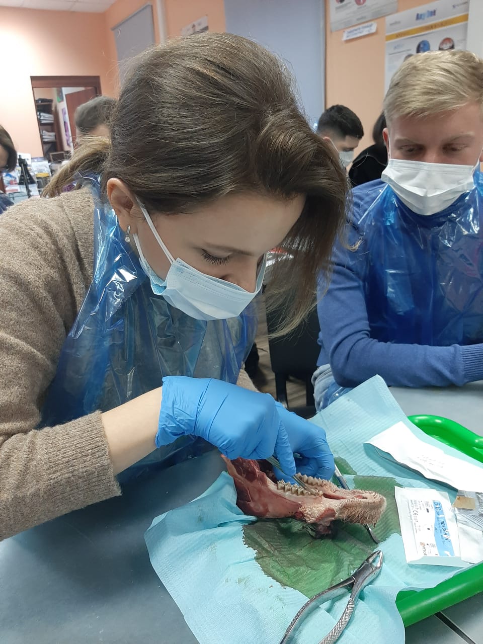 Атравматичное удаление зубов и методики наложения швов. Пост-релиз 11.12.20