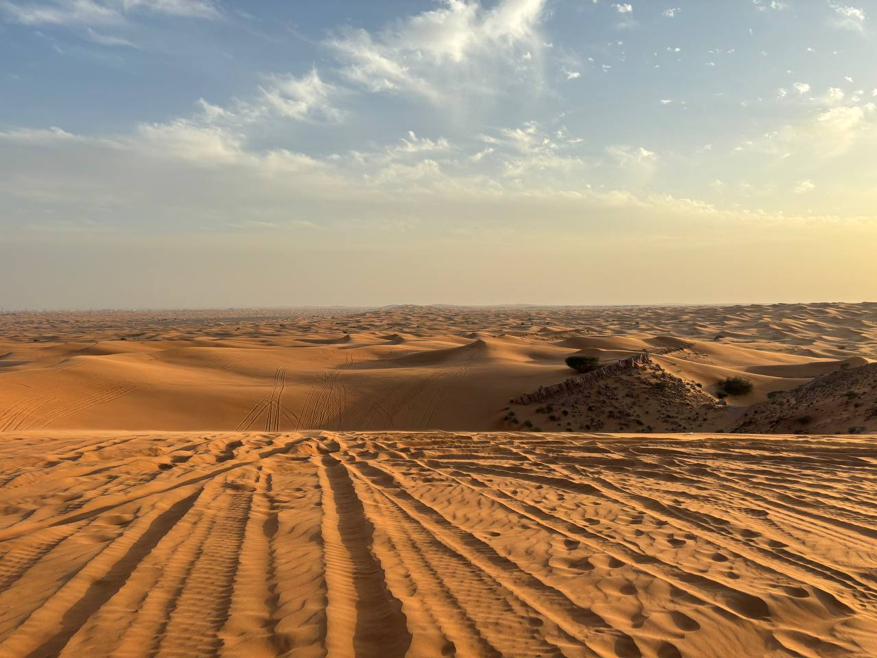 Деловая программа Дентал Гуру в ОАЭ 2024. Пост-релиз