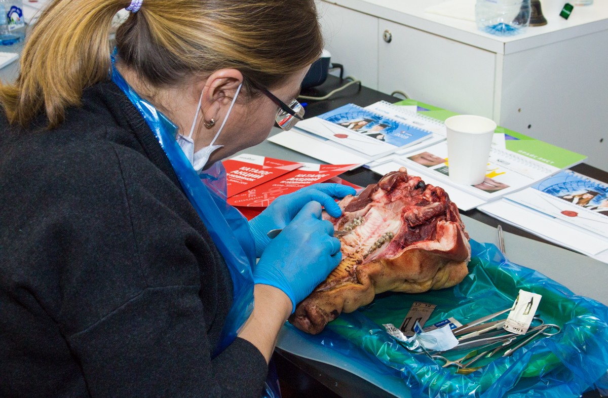 13-14 ноября. Хирургический курс по пародонтологии. Ерохин А.И.