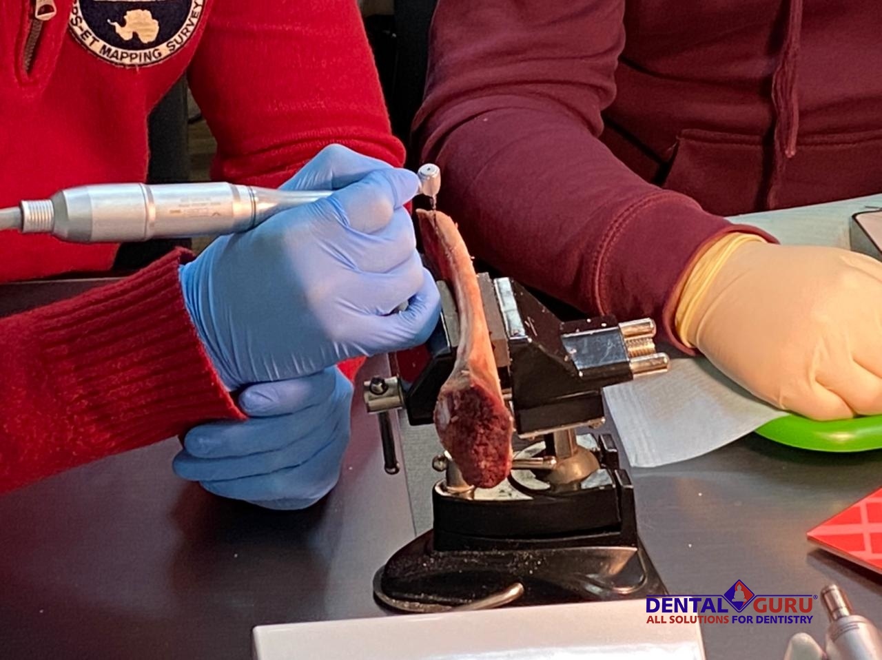 Базовый курс по имплантации. Пост-релиз 23-24 января