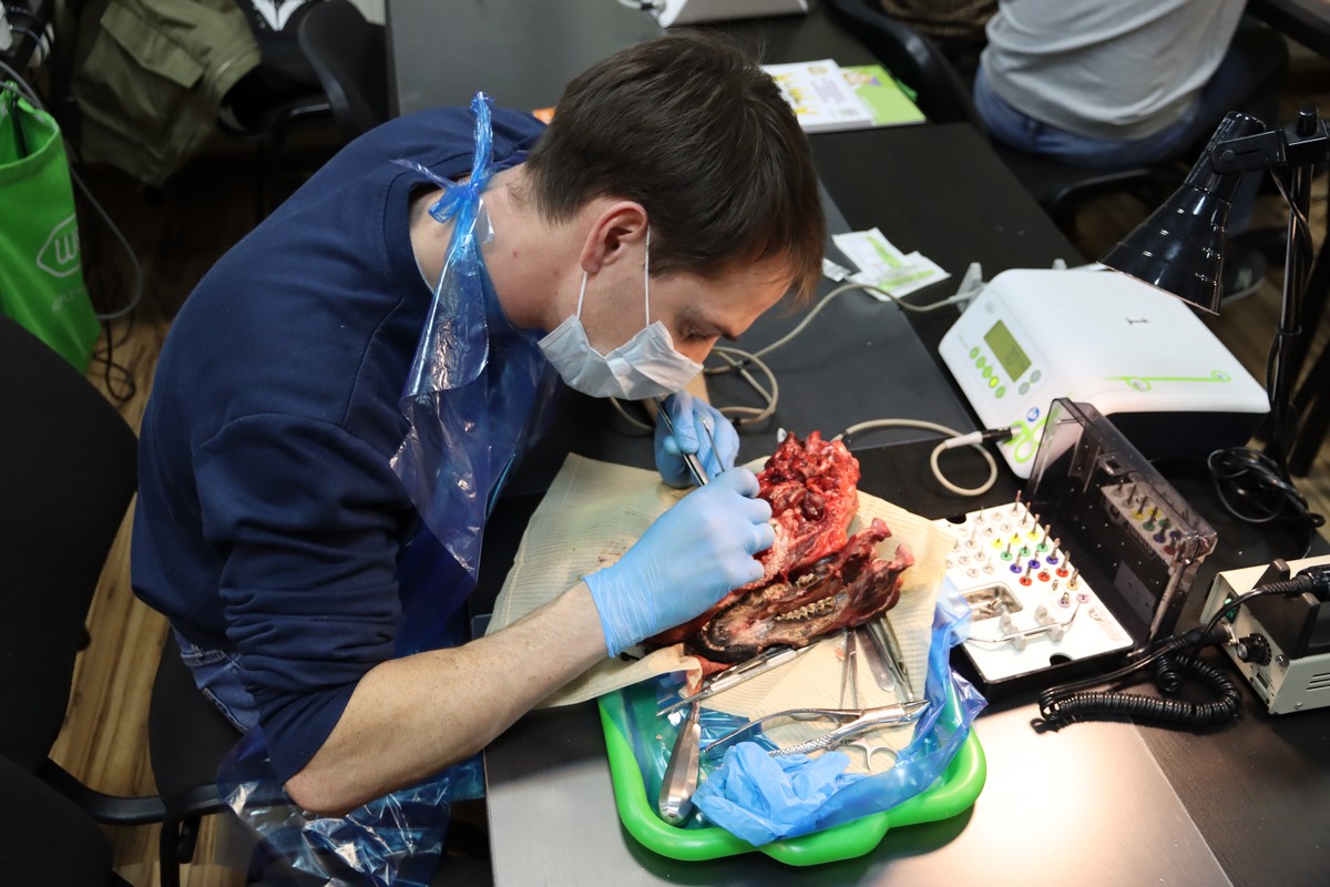 Одномоментная имплантация и немедленная нагрузка