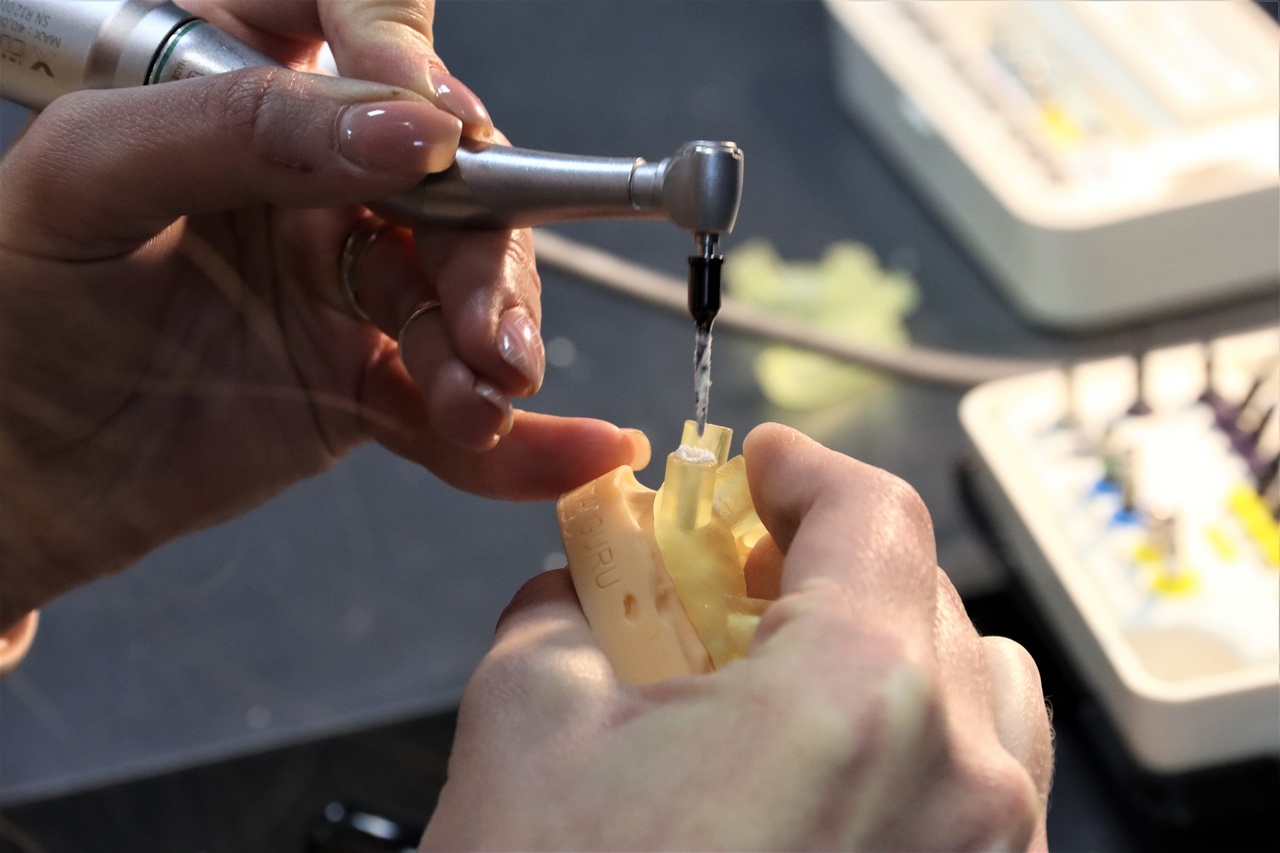 Продвинутый курс R2Gate+ExoCAD. Практика на беззубой челюсти