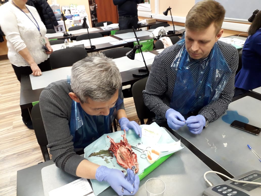 Атравматичное удаление зубов и методики наложения швов