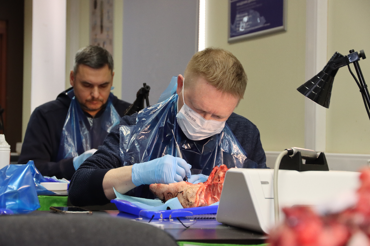 Продвинутый курс по пластике мягких тканей