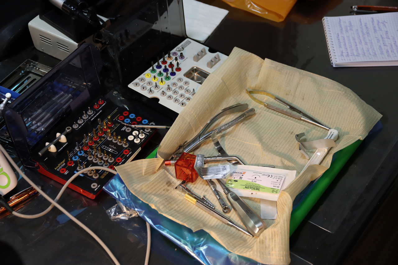 Кадавер-курс Виталия Георгиевича Панцулая 14 ноября