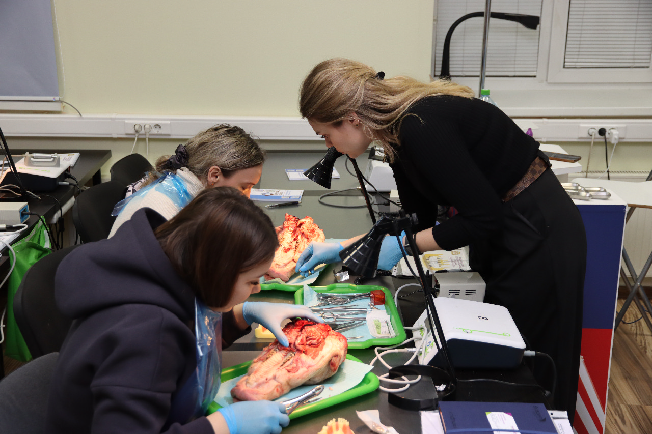 Атравматичное удаление зубов и методики наложения швов