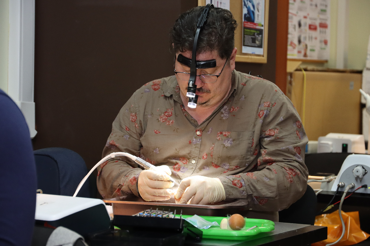 Продвинутый курс по имплантации: костная пластика и синус-лифтинг