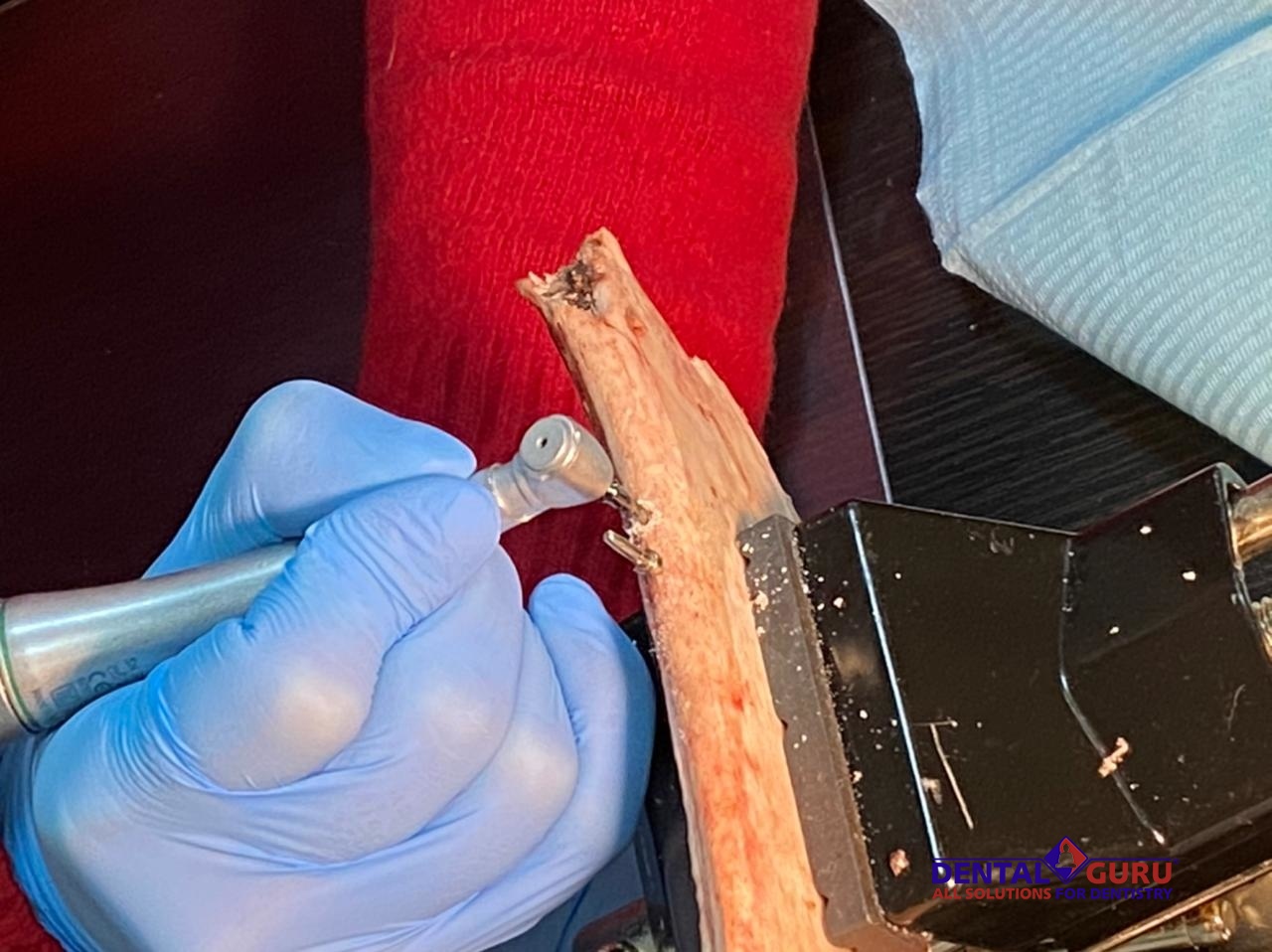 Базовый курс по имплантации. Пост-релиз 23-24 января